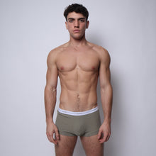 Load image into Gallery viewer, the boxer brief - spyker studio